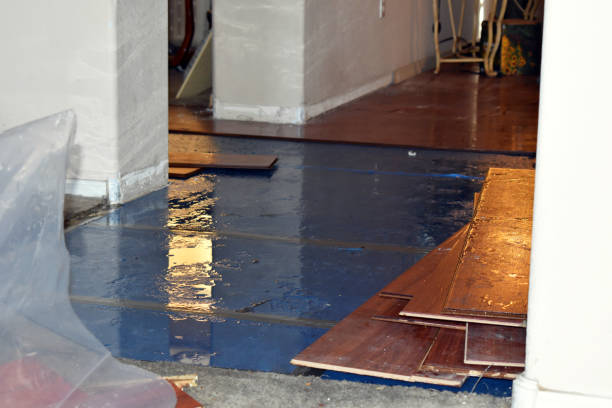 Professional Water Damage Restoration technician working in Rockwood, IL